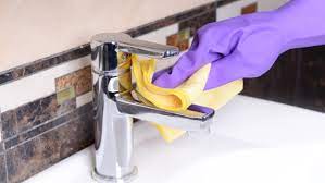 Get rid of the Flu With a Clean House.
